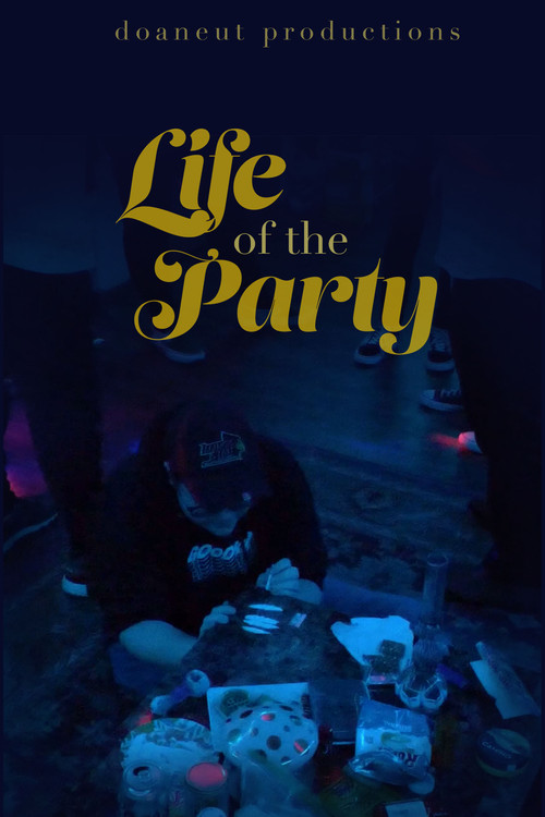 Life of the Party poster