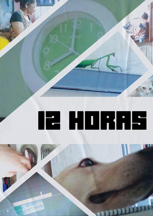 12 Hours poster