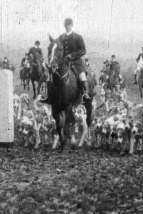 Fox Hunt poster