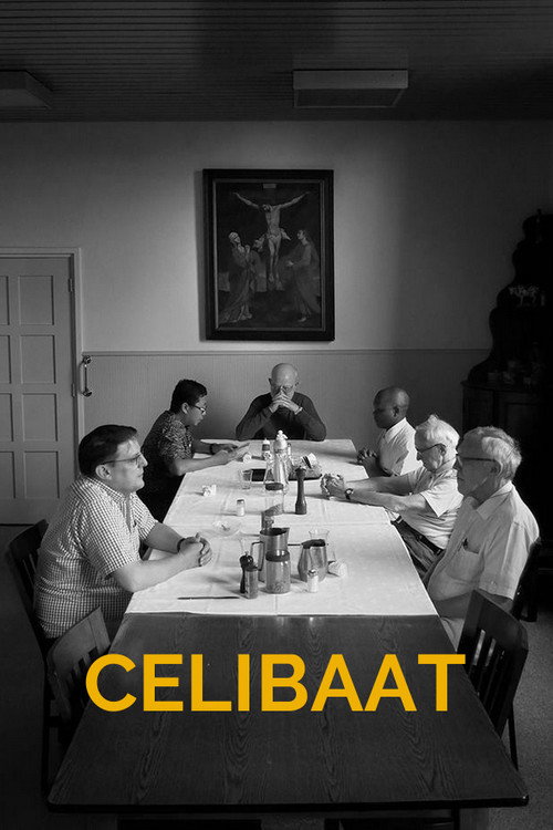 Celibaat poster