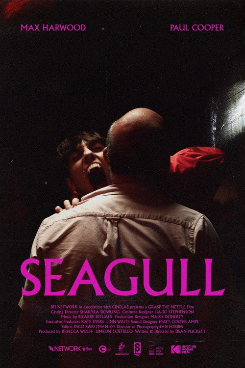 Seagull poster