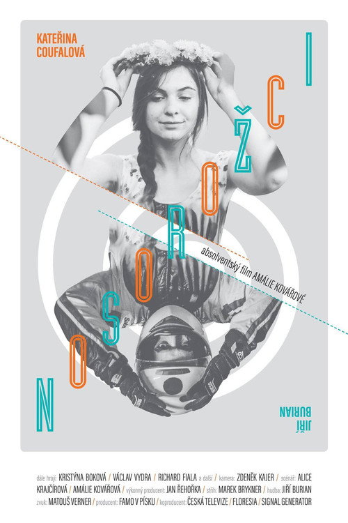 Rhinoceros poster