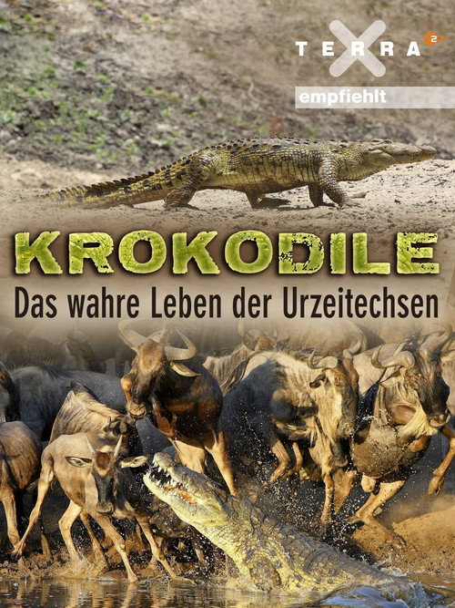 Crocodiles - The Private Life of Primeaval Reptiles poster
