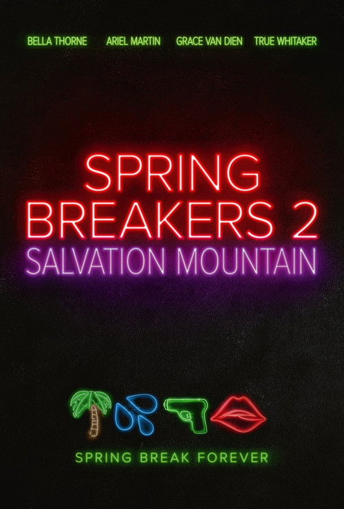Spring Breakers 2 poster