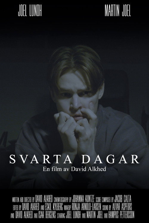 Black Days poster
