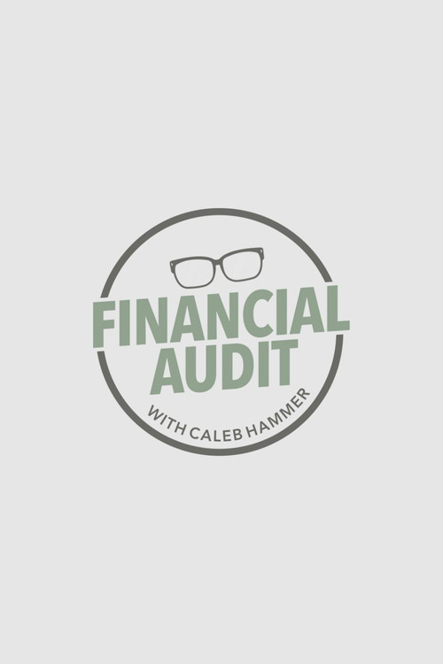 Financial Audit poster