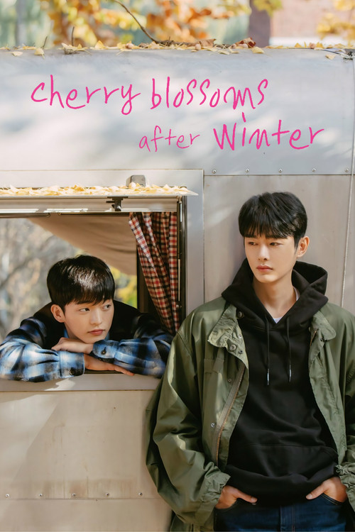 Cherry Blossoms After Winter poster
