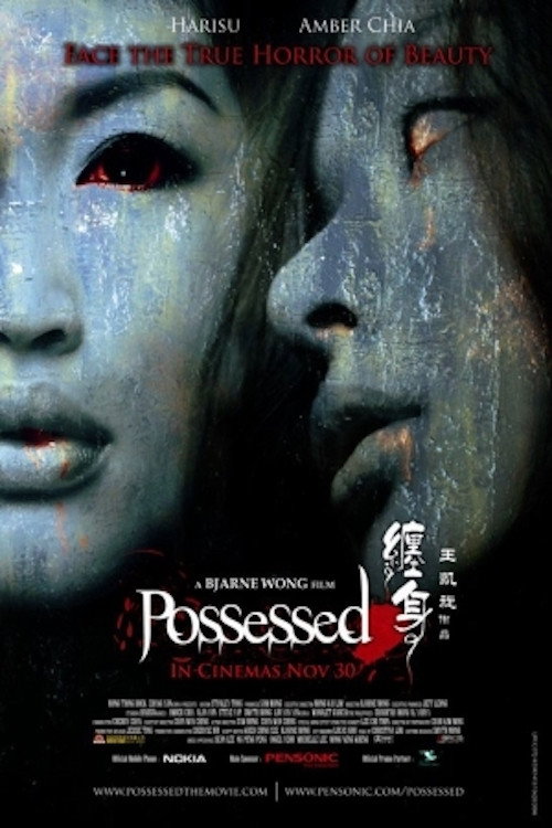 Possessed poster