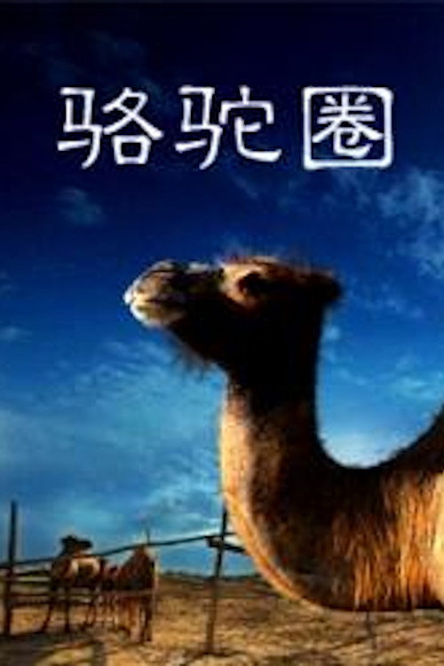 Camel Collar poster