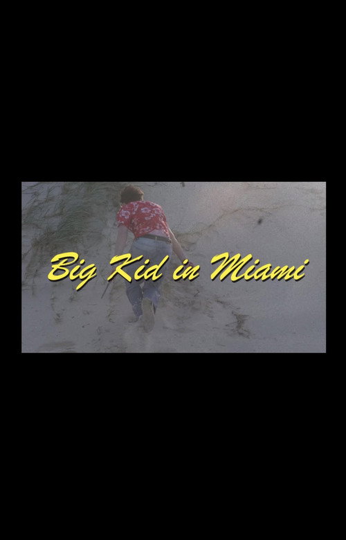 Big Kid in Miami poster