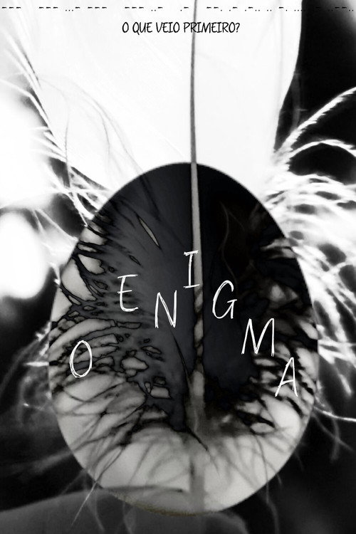 The Enigma poster