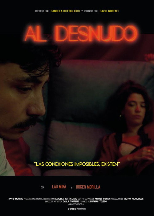 Al Desnudo poster