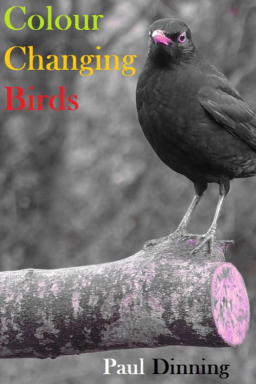 Colour Changing Birds poster