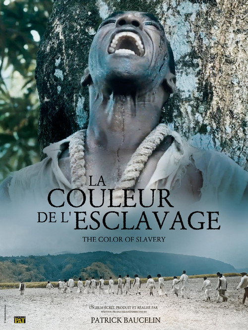 La Couleur de l'esclavage poster