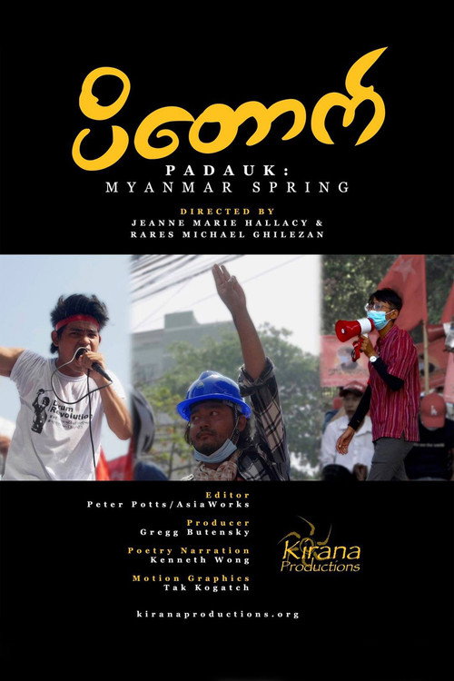 Padauk: Myanmar Spring poster