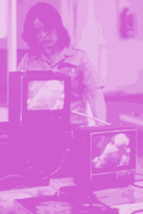 Not For Sale: Feminism and Art in the USA during the 1970s poster