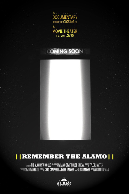 Remember the Alamo poster