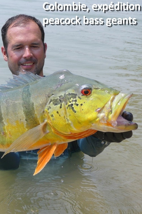 Colombia, A Giant Peacock Bass Expedition poster