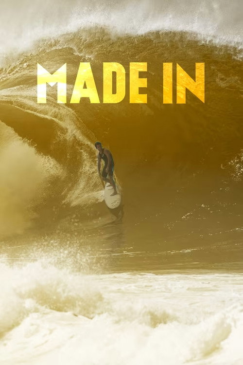 Made in New Zealand poster