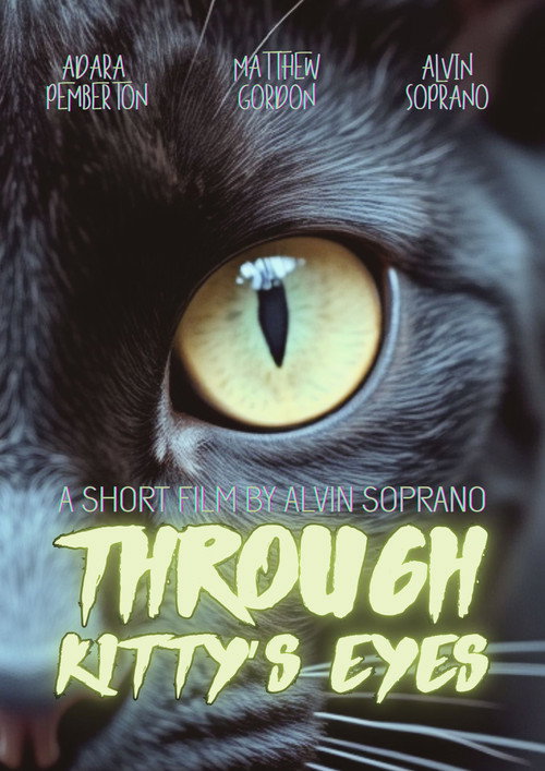 Through Kitty’s Eyes poster