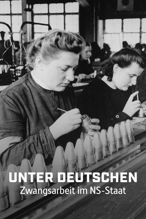 Unter Deutschen - Zwangsarbeit im NS-Staat poster