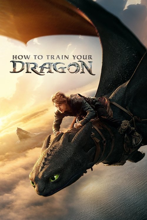 How to Train Your Dragon poster