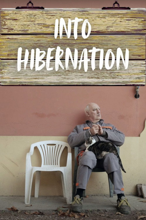 Into Hibernation poster