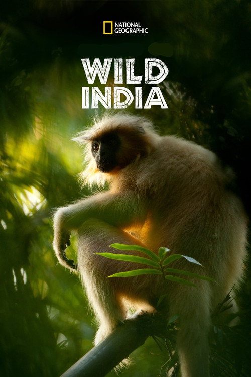 Wild India poster