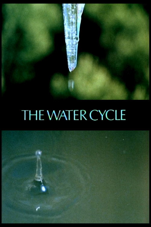 The Water Cycle poster