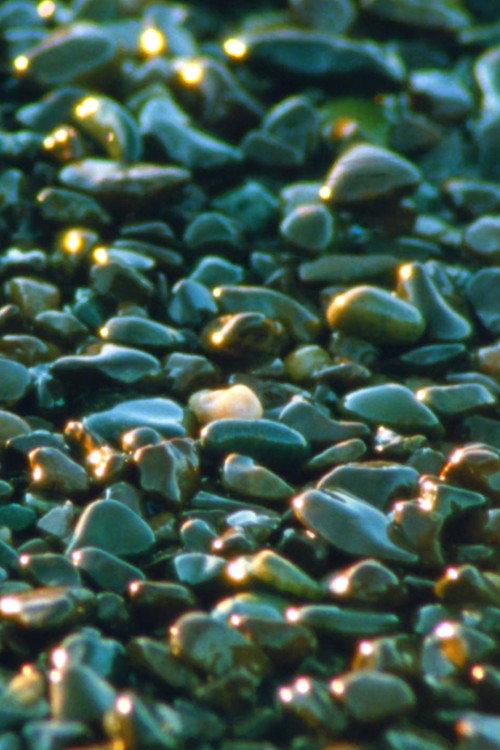 Jasper Beach and The Salt Marsh poster