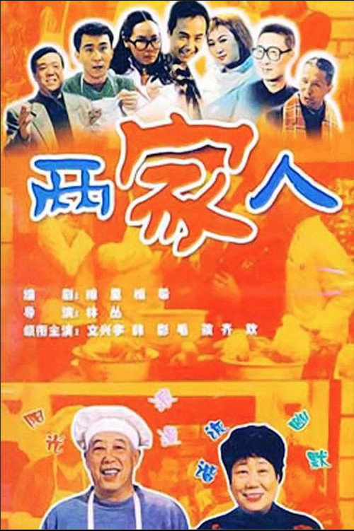 两家人 poster