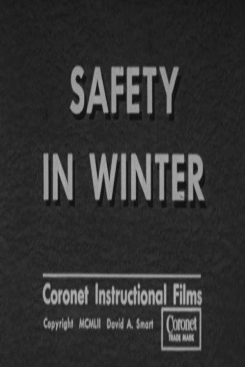 Safety In Winter poster