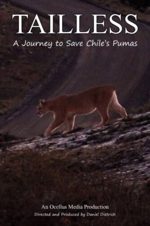 Tailless poster