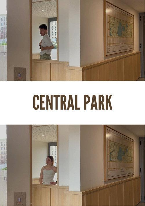 Central Park poster