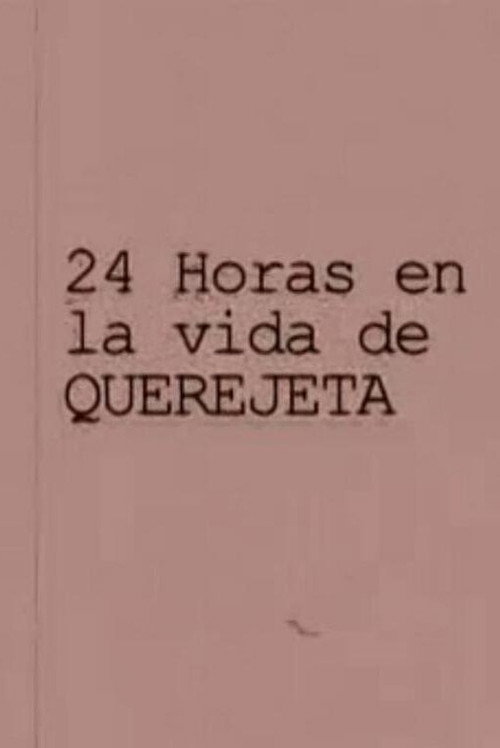 24 horas en la vida de Querejeta poster