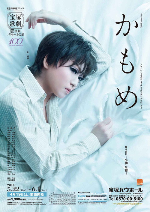 The Seagull poster
