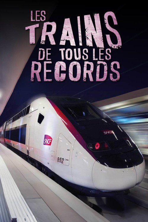 Les Trains de tous les records poster