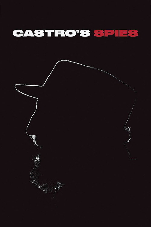 Castro's Spies poster