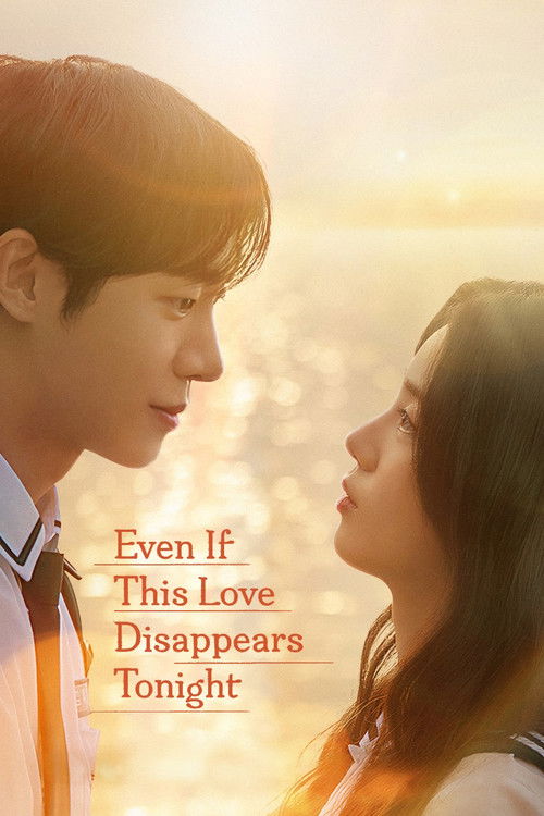Even If This Love Disappears Tonight poster