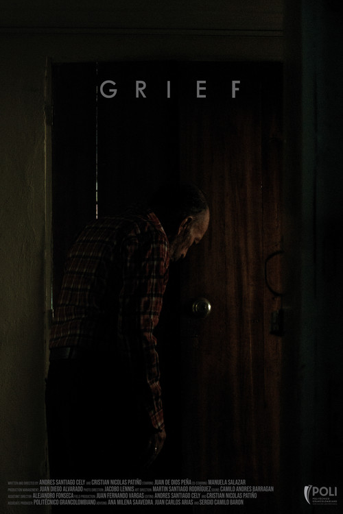 Desarraigo poster