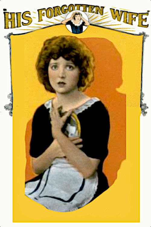 His Forgotten Wife poster