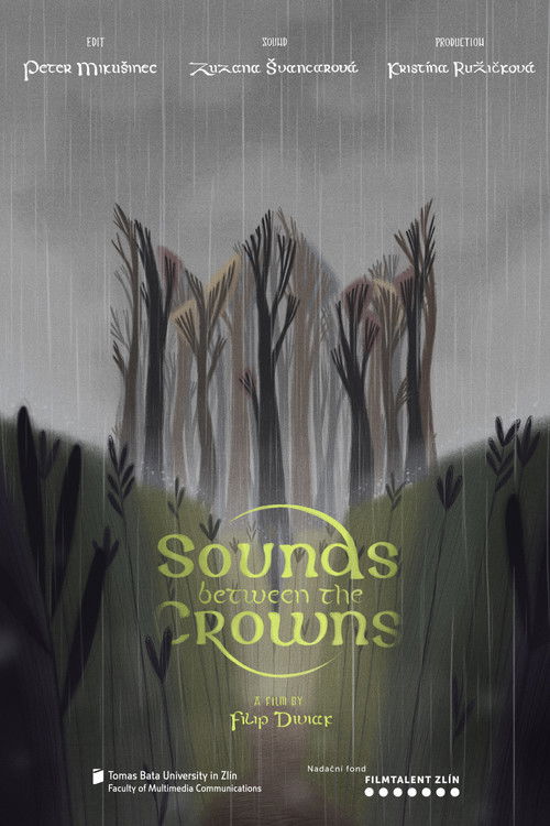 Sounds Between the Crowns poster