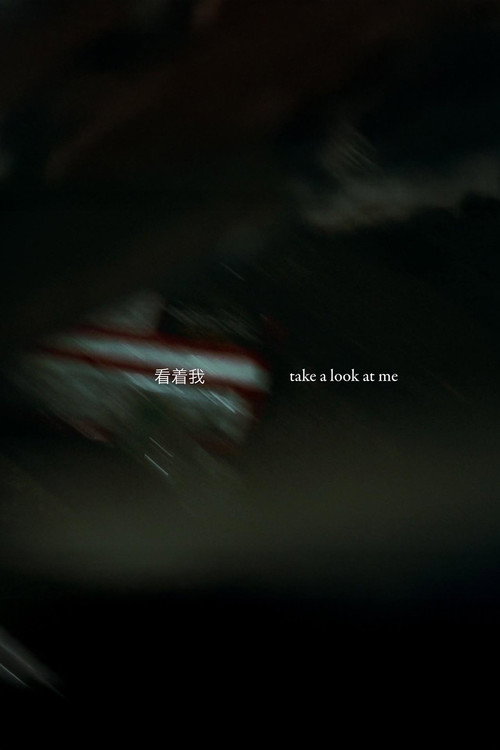 Take a Look at Me poster