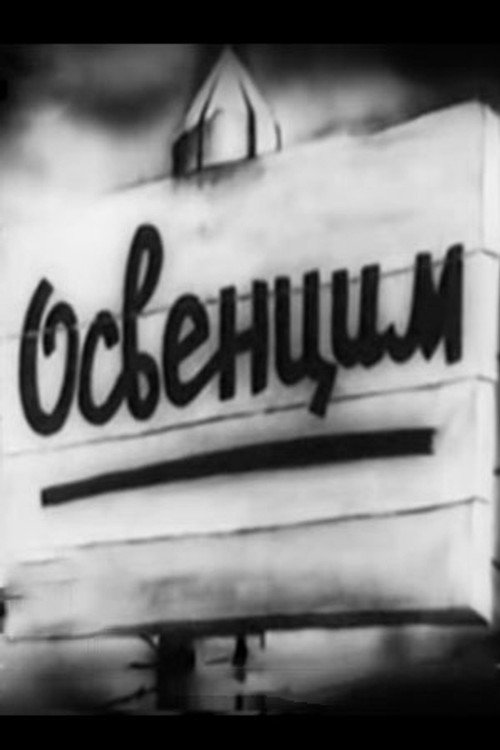Auschwitz poster
