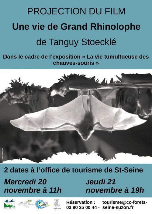 The Life of a Greater Horseshoe Bat poster