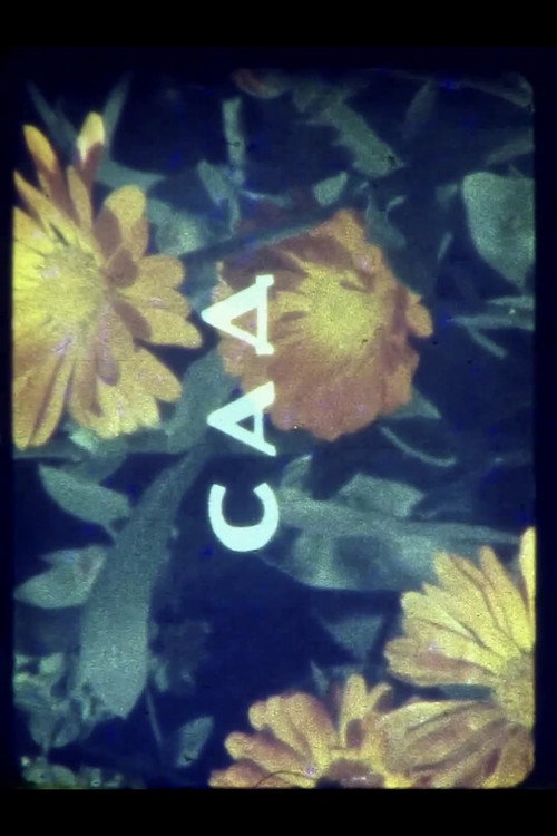 Colors of Summer poster
