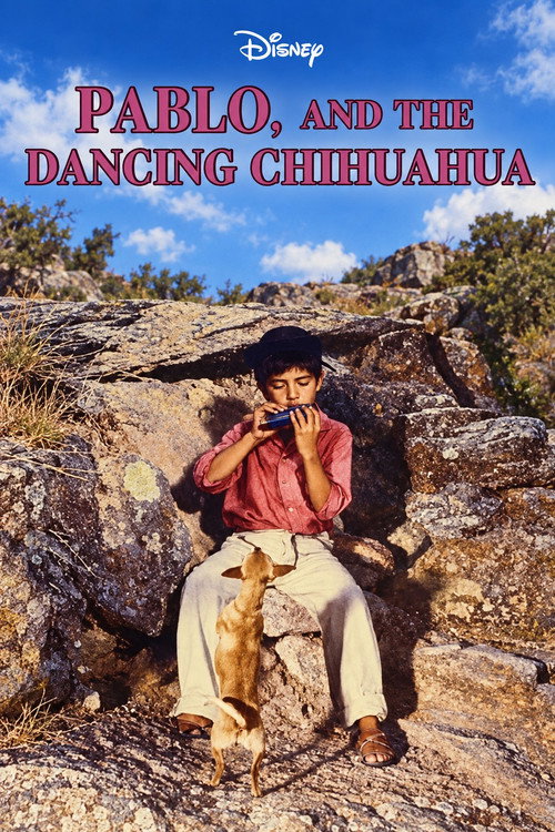 Pablo and the Dancing Chihuahua poster