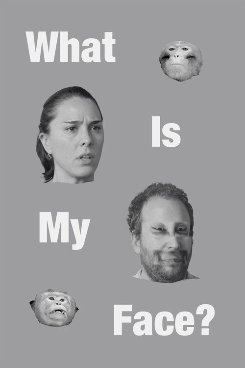 What Is My Face? poster