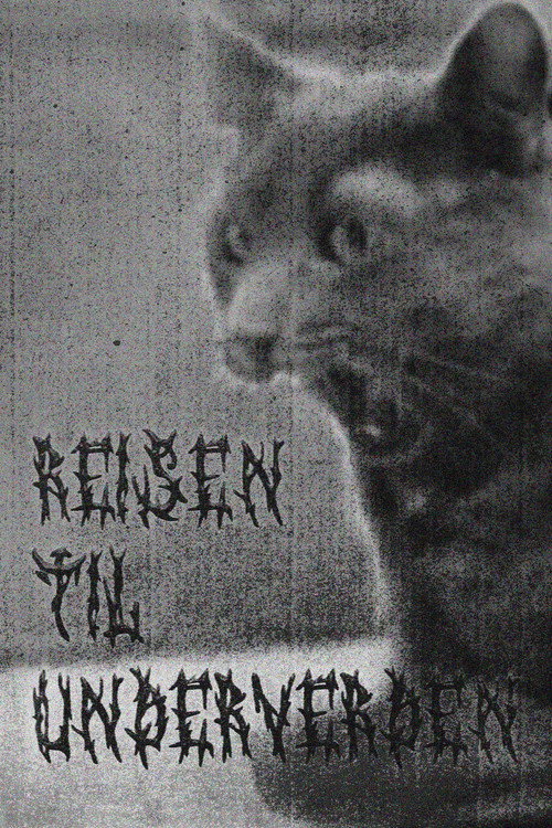 Reisen til Underverden poster