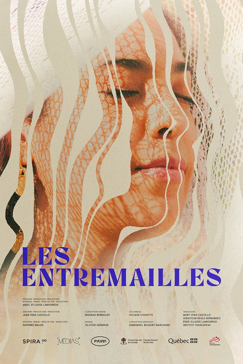 Interwoven poster